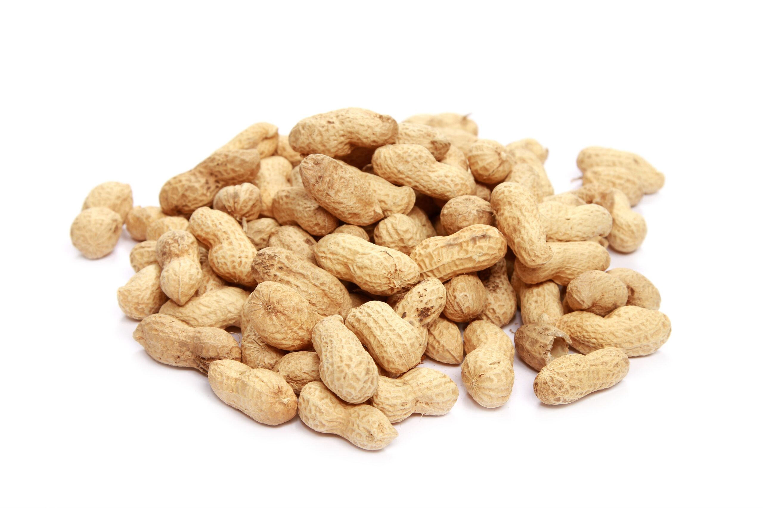 Premium Peanuts